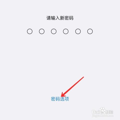 苹果手机怎么设置字母数字密码