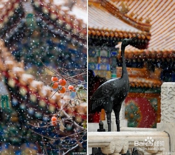 简历的措辞上如何改善?