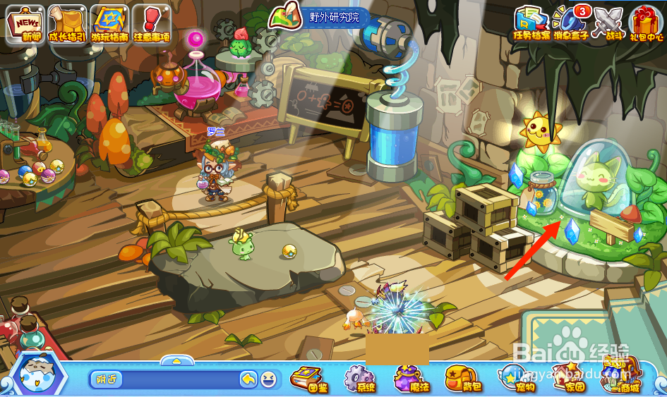 魔力猫超进化的地点在哪