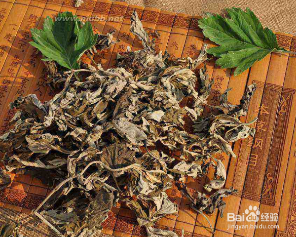 艾草除螨虫的使用方法