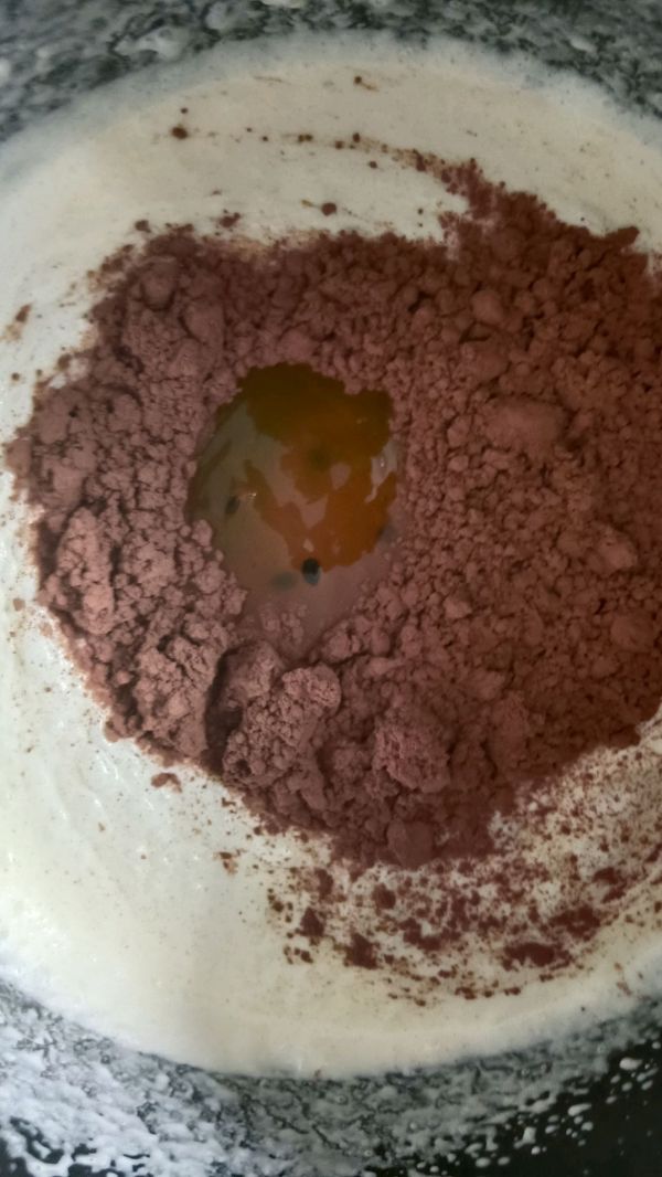 自制巧克力雪糕