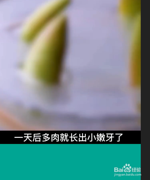 实用的种植小技巧