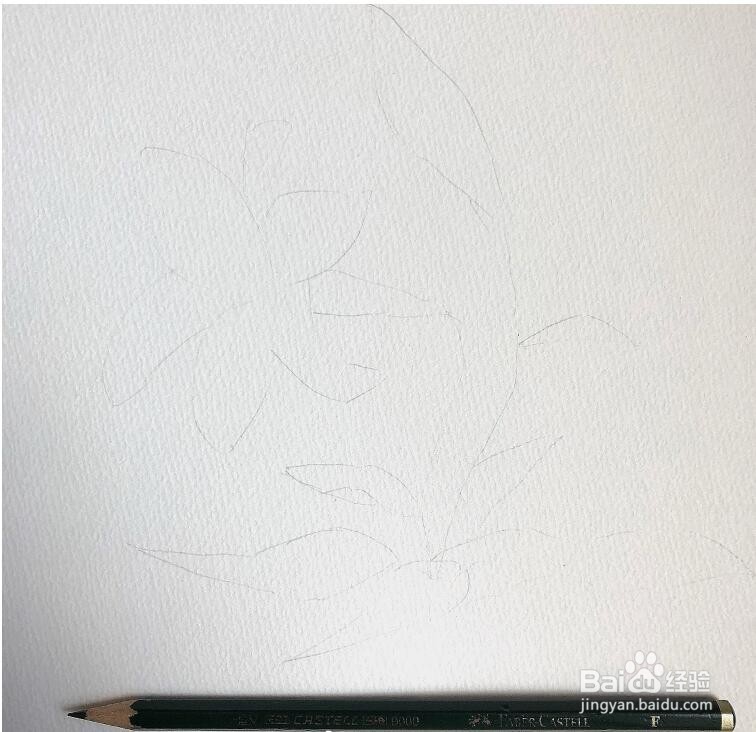 简单的水彩画教程，水彩画百合花步骤图解