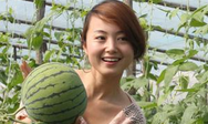 夏季巧选有籽和无籽西瓜的方法