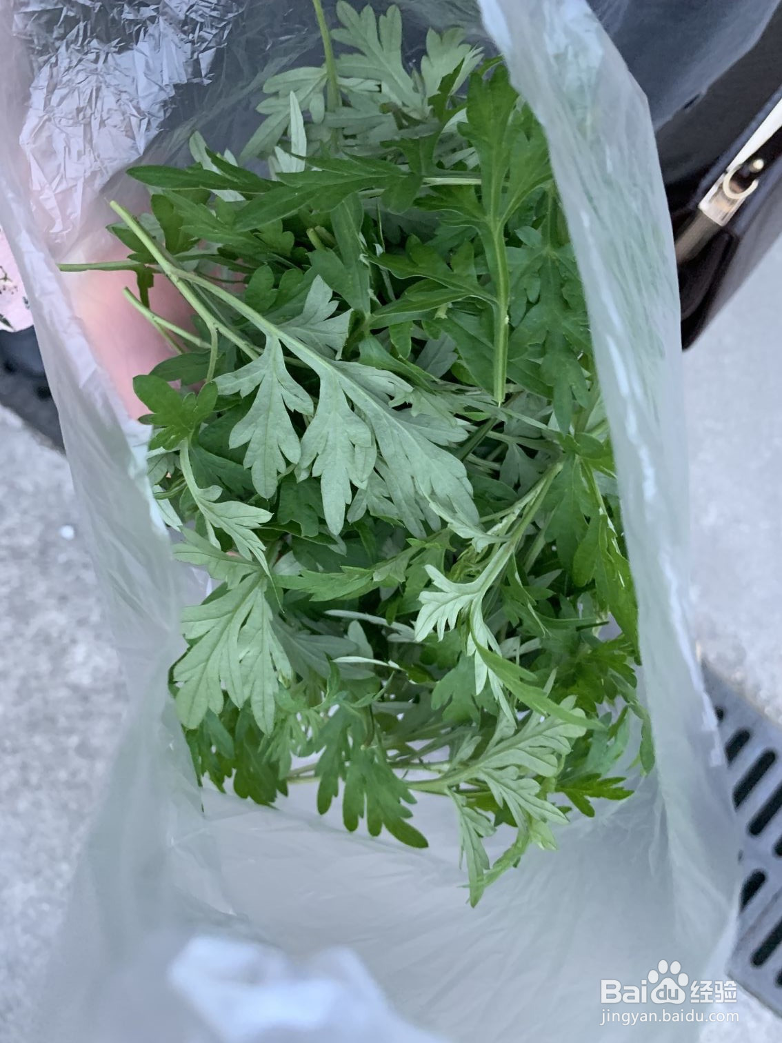 青团制作方法一的做法