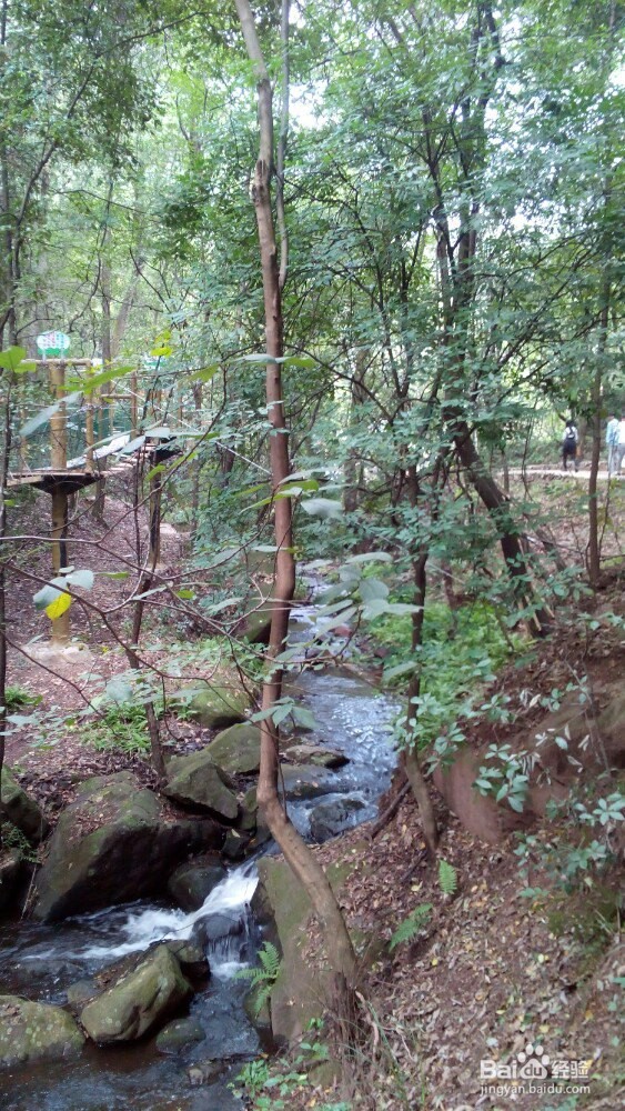 昆明青龙峡风景区有什么好玩的