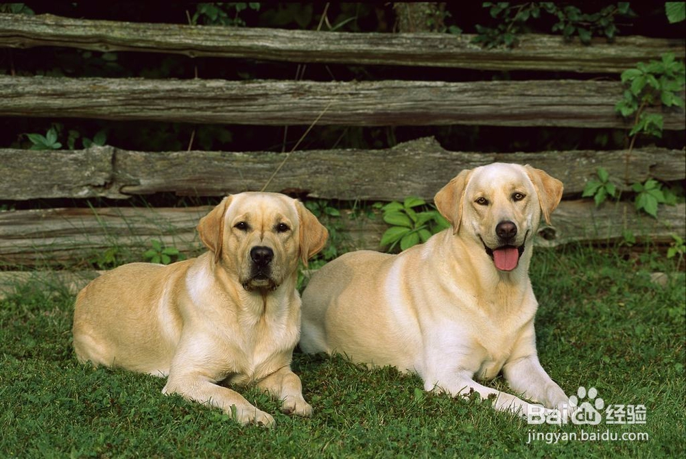 #过年#安全过大年必须掌握的生活常识！