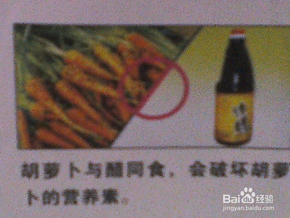 食物相克——合理饮食预防疾病：[4]