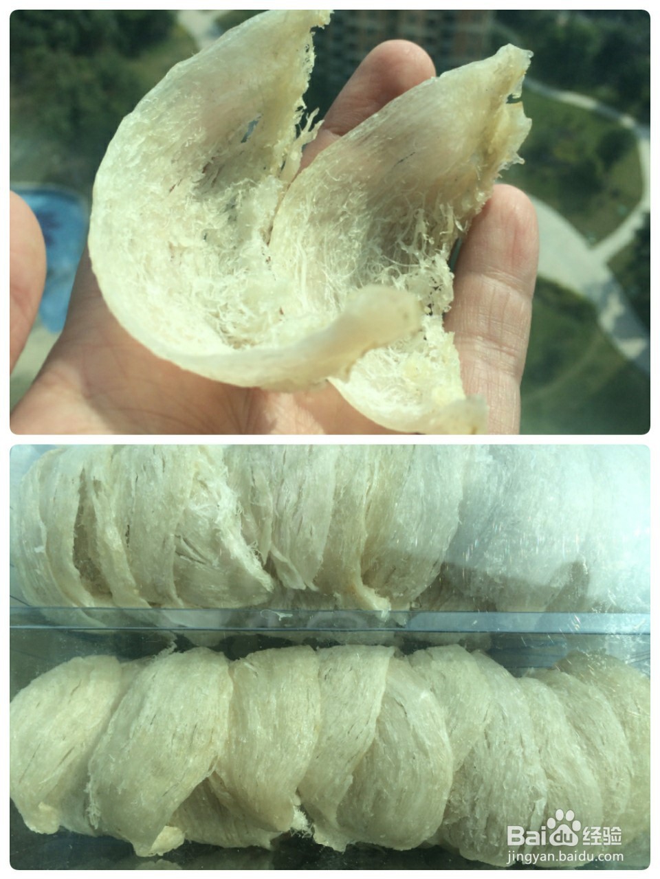 辨别真假燕窝的八大误区