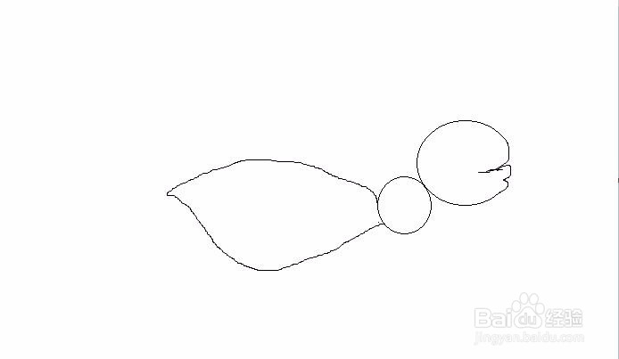 呆头大蚂蚁的手绘画法