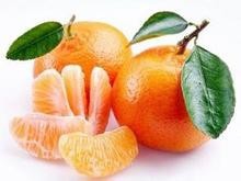秋季进补吃什么 十大冠军果蔬从头到脚的呵护