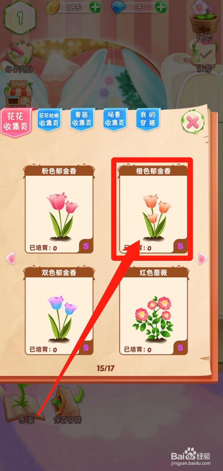 花花姑娘之魔法花园如何查看橙色郁金香简介