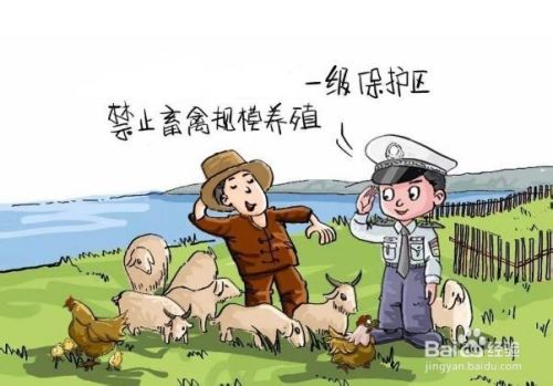 如何保护水源地