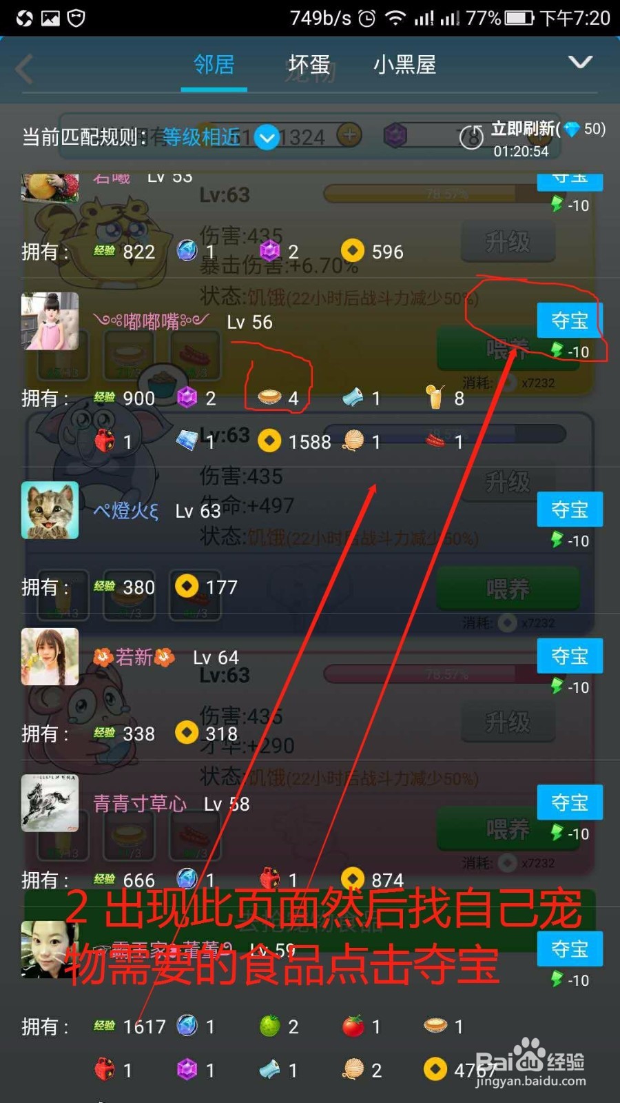 如何在派派里给宠物抢食物