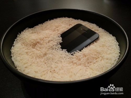 手机进水怎么办？（很管用）