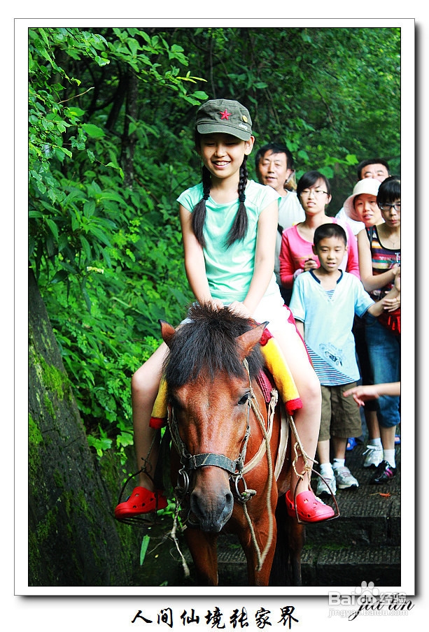 学生张家界自助游线路