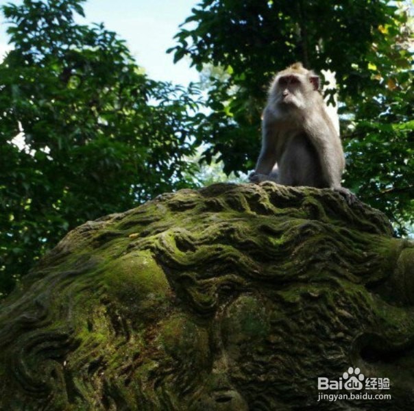 巴厘岛风光 四爷若曦浪漫之地