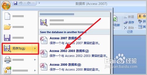 access2007教程
