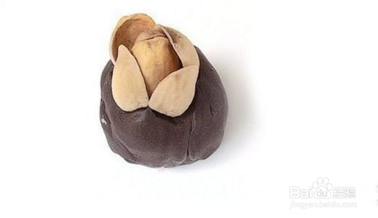 美美哒装饰坚果树 你的室内多了一抹秋色!