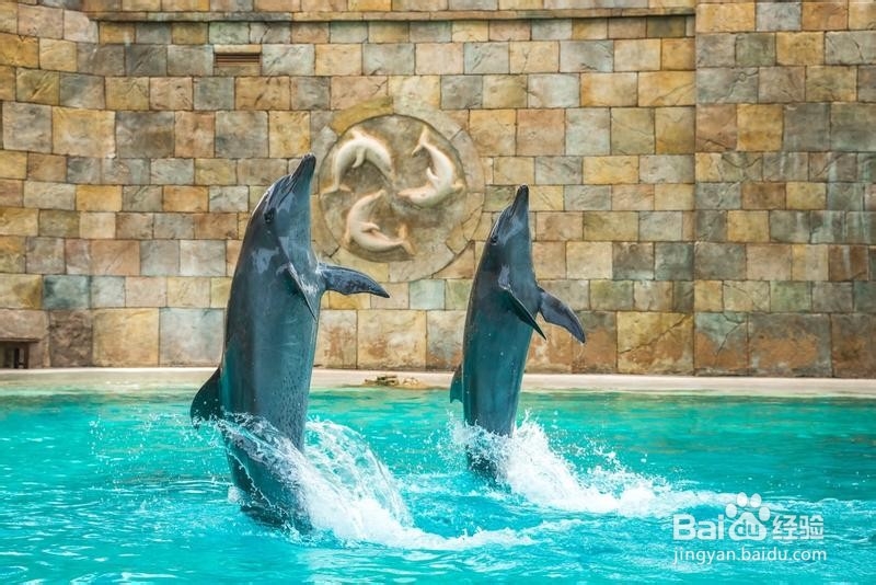 新加坡旅游简记21