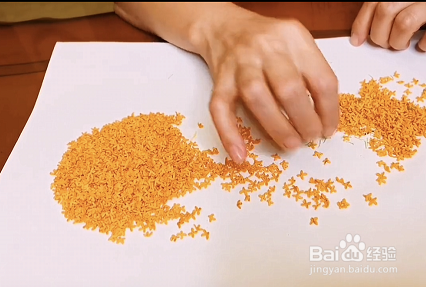 桂花怎么收集处理