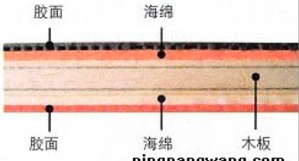 乒乓球拍胶皮的种类和特征