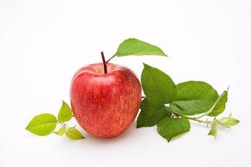 宝宝肠胃不好这些食物最养肠胃!