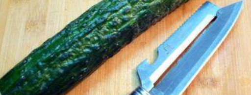 金枪鱼黄瓜寿司