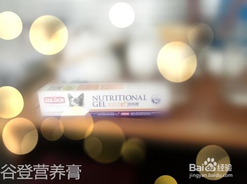 狗狗什么时候是老了？需要补充什么营养？