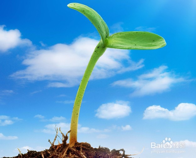 如何提高学习兴趣