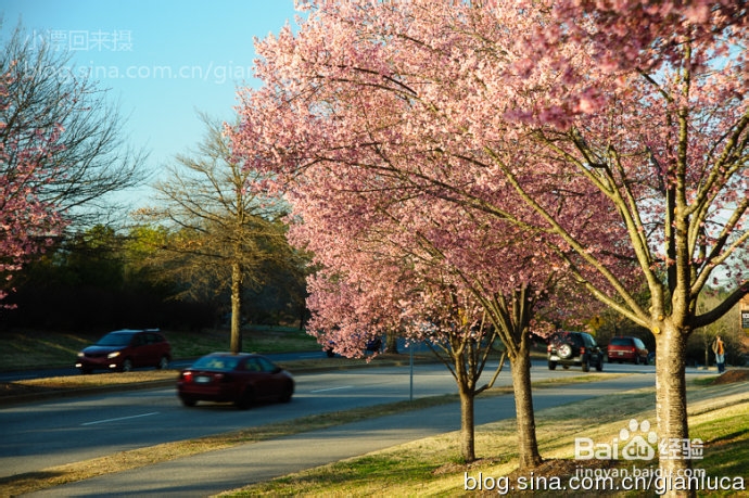 初一《孙权劝学》原文及翻译