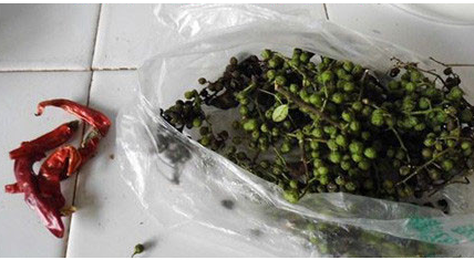 川味美食酸菜鱼玛卡