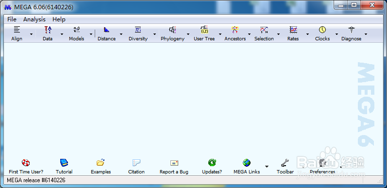 MEGA 5.0构建进化树