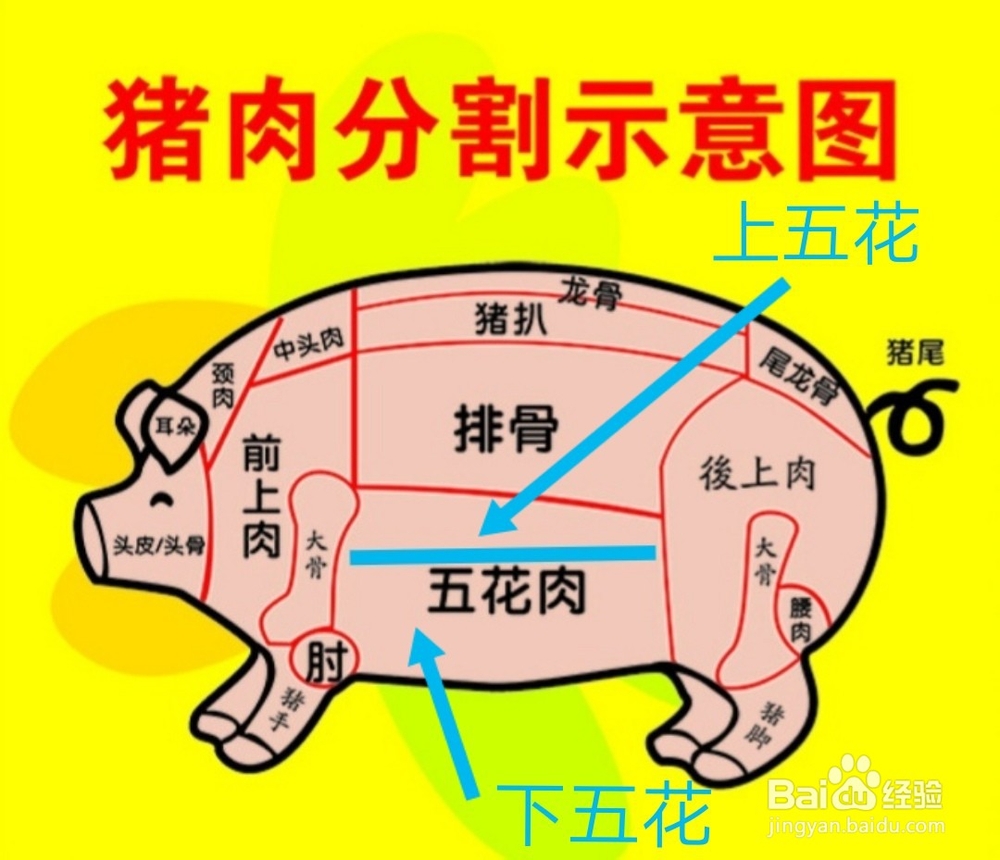 上五花肉和下五花肉的区别