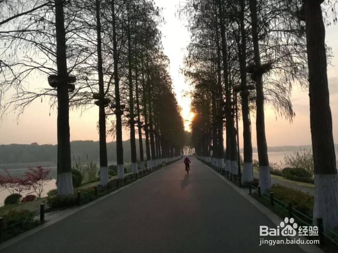 东湖绿道有什么好玩的