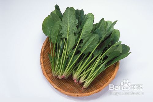 可以减肥的食物