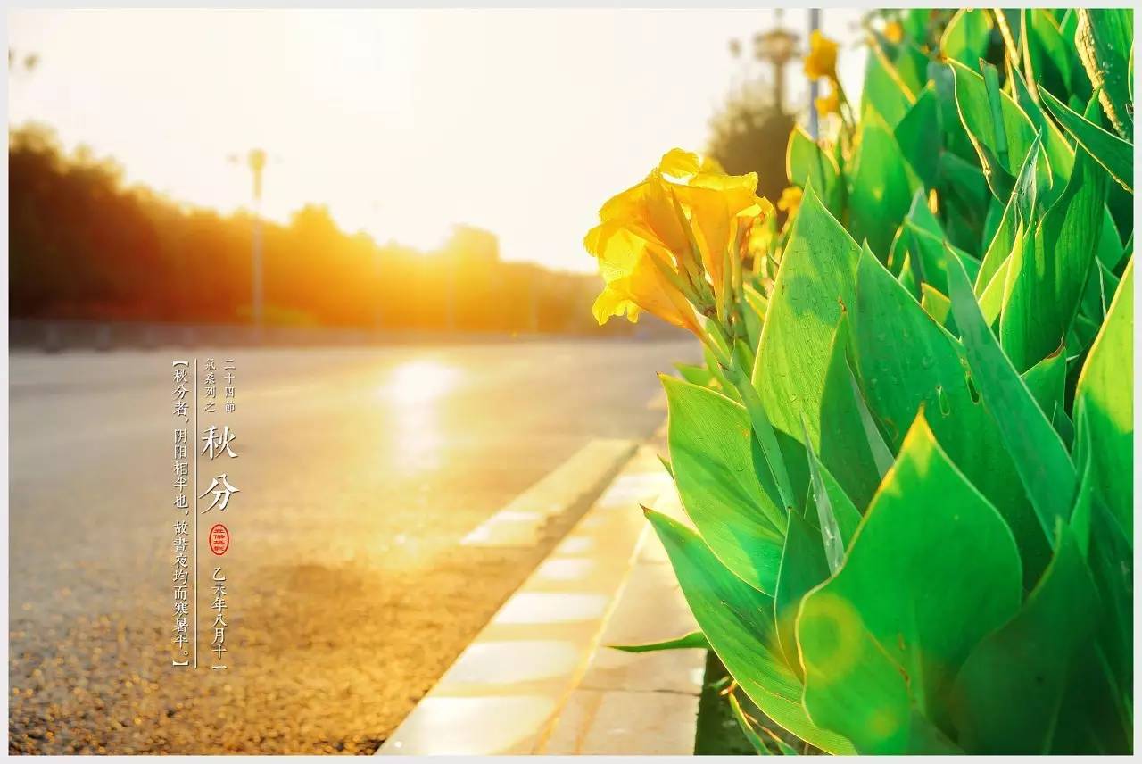 节气歌中哪个节气表示秋天到了