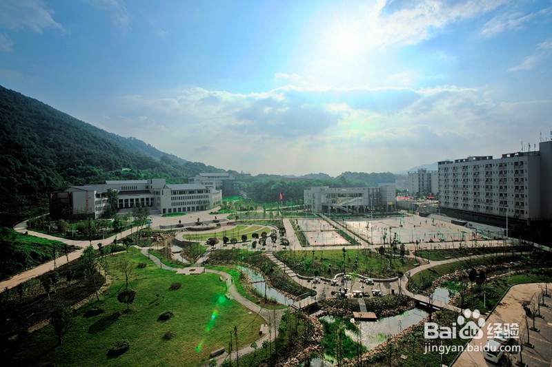 把握易逝的时光