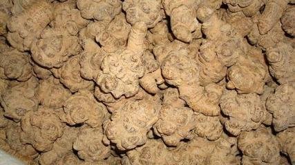 三七长什么样子