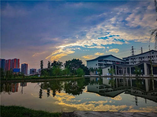 重庆的大学有哪些学校