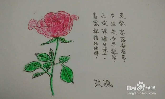 <b>简笔画报花名：[7]玫瑰花画法</b>