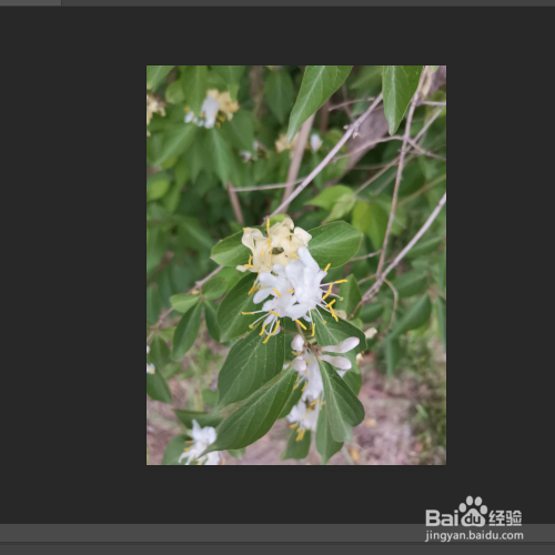 如何通过ps给图片的图像增加喷溅效果