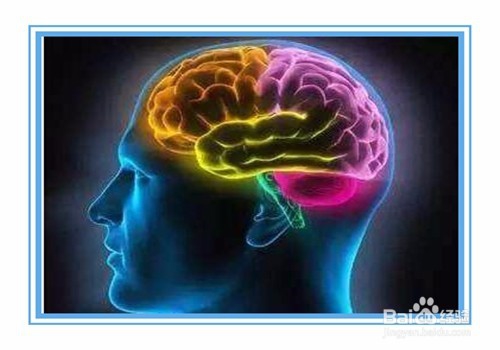 怎样才能拥有四维的头脑？