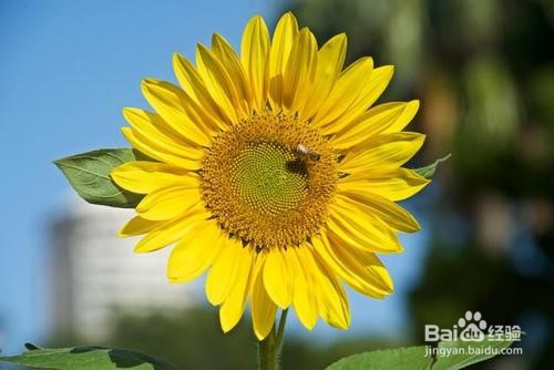 大学生,你为什么不开心?