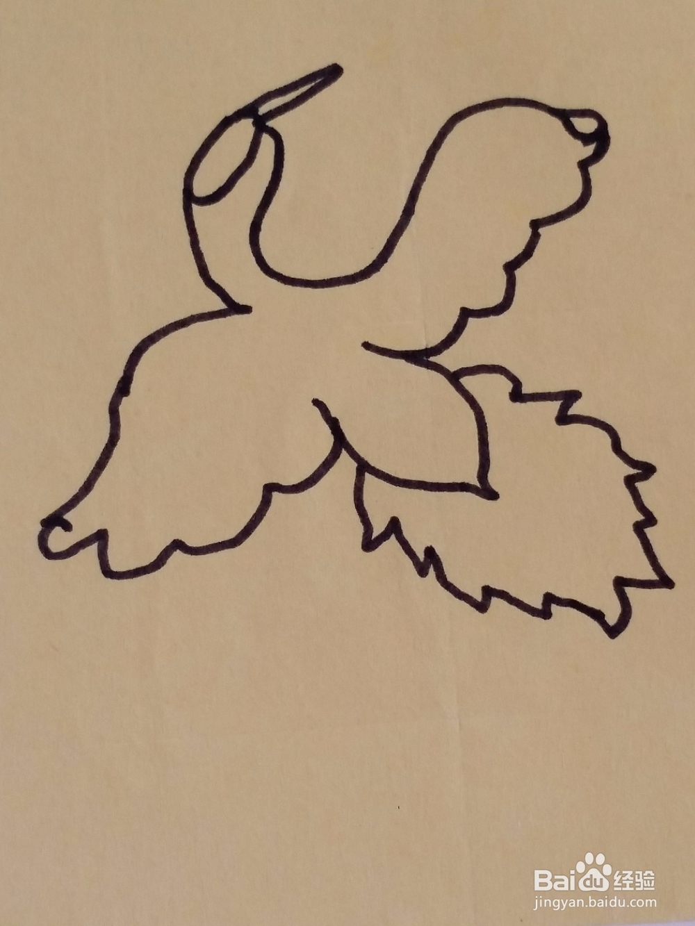 幼儿仙鹤手绘画法