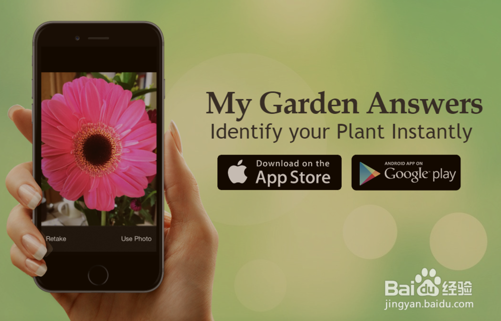 有没有识别植物的APP软件