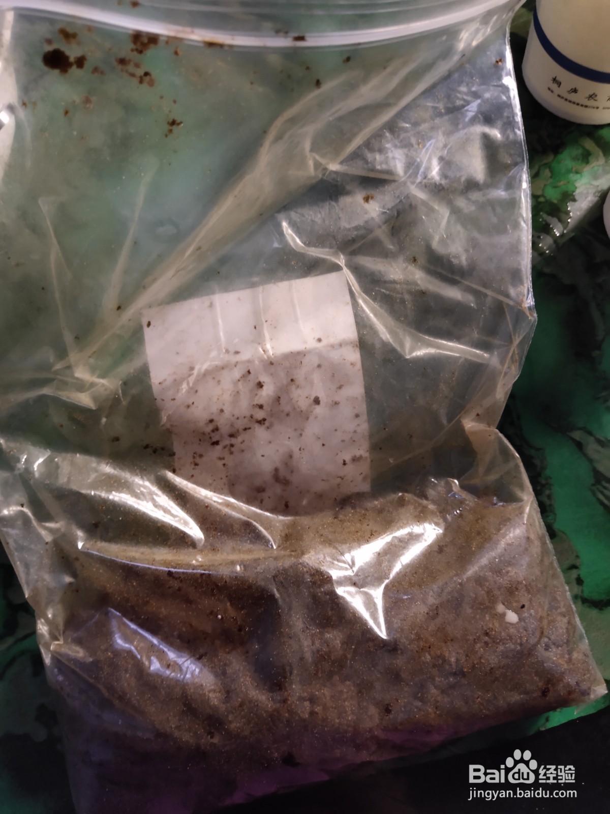 蒸纸杯各种口味糕点