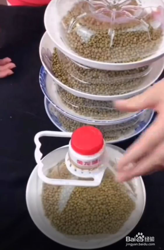 空油桶变废为宝的小妙招。