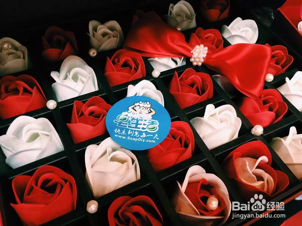 玫瑰花语--共你朝暮 伴你成长