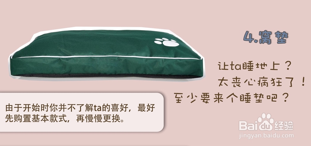 新狗狗进家前必须备齐的7种物品